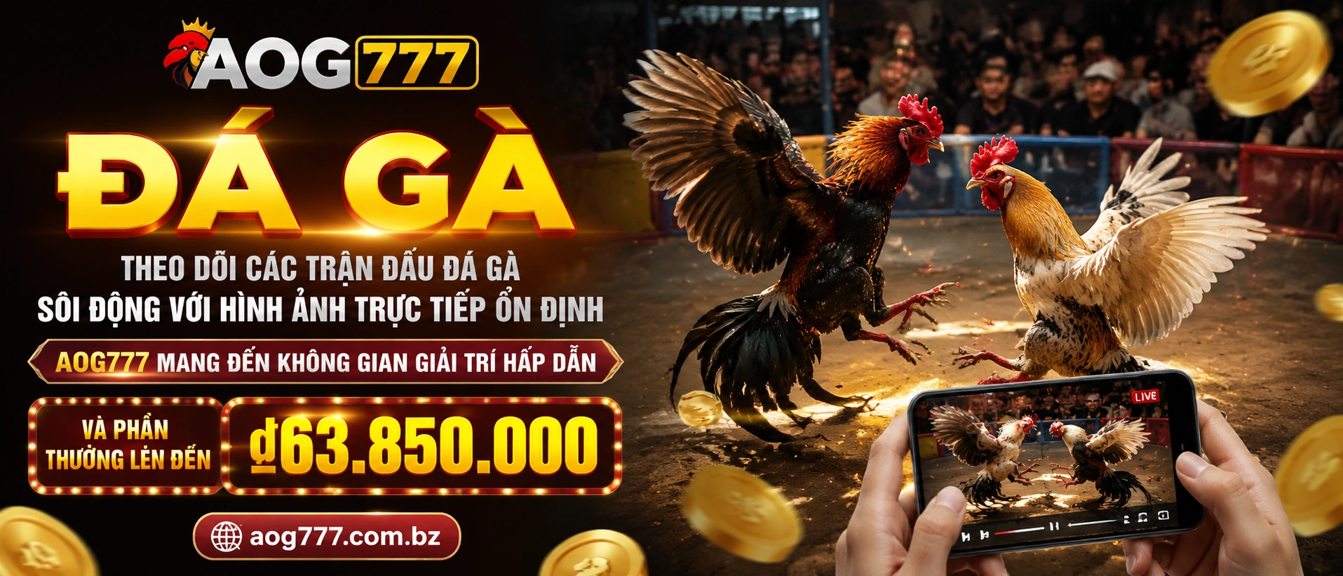 Hình minh họa nội dung Đá Gà Trực Tiếp AOG777