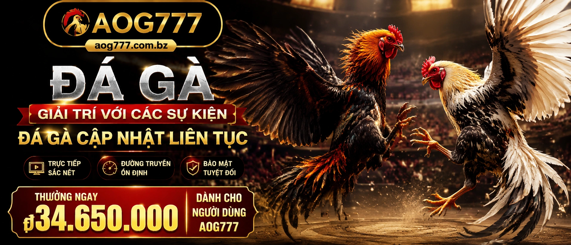 Hình minh họa trải nghiệm mobile của chuyên mục Đá Gà
